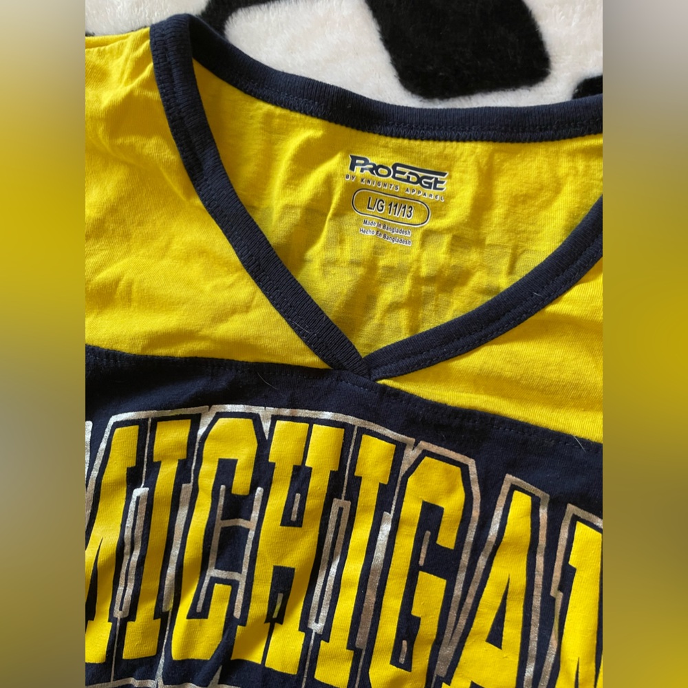 Michigan wolverines top just needs some wrinkle care maybe worn once size large